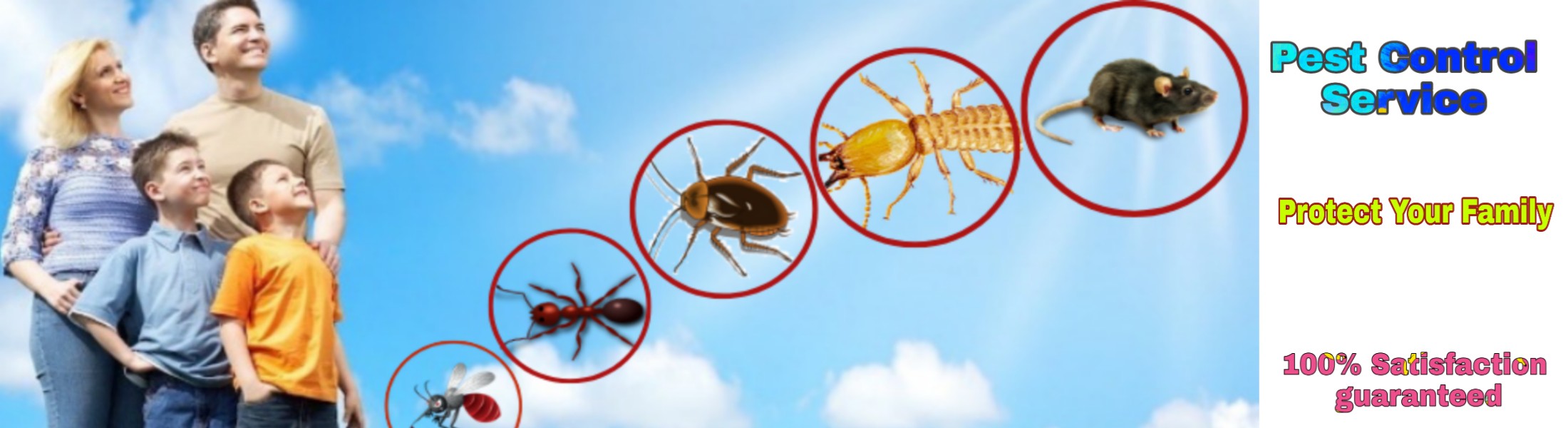 Pest Control Service 