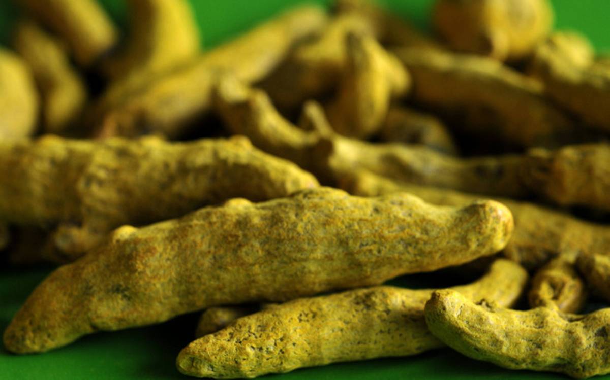 ERODE TURMERIC HYBRIDE FINGER