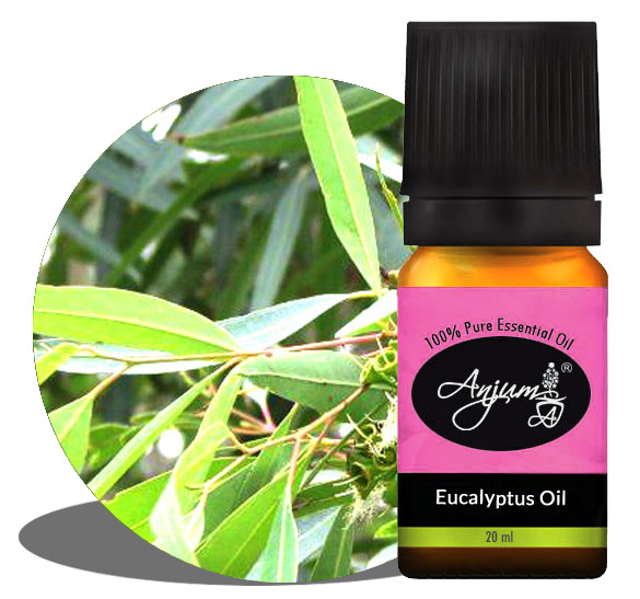 EUCALYPTUS ESSENTIAL OIL