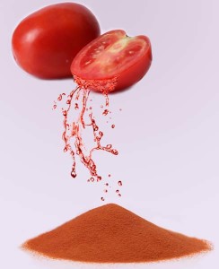 DRY TOMATO POWDER