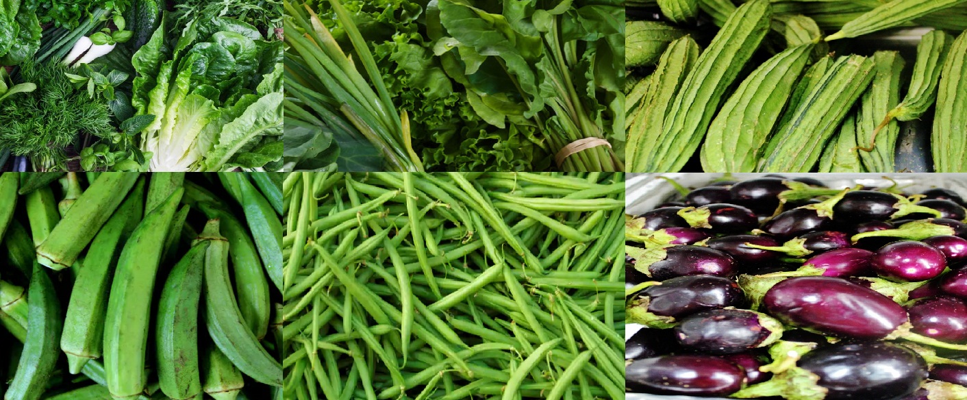  GREEN VEGETABLES