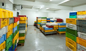 Cold Room