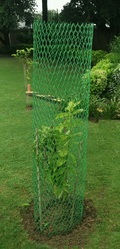 TREE GUARD