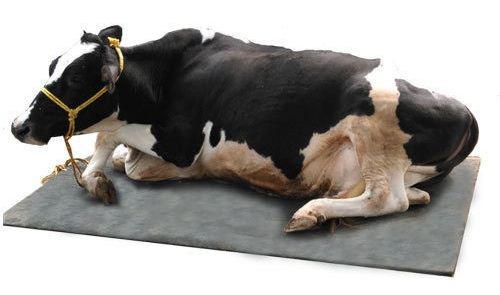 cow mat