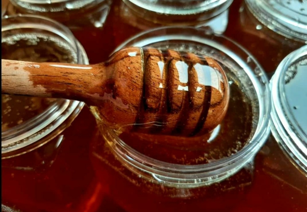Honey 