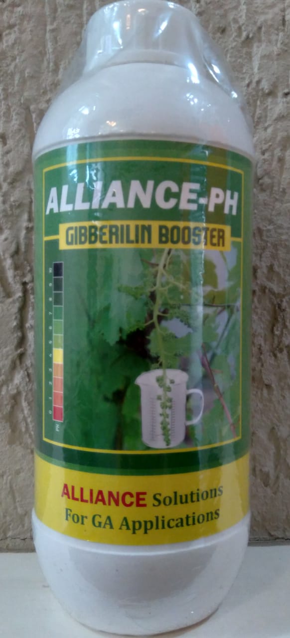 ALLIANCE – PH