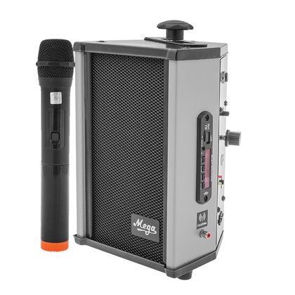 MEGA 25 WATT MINI PORTABLE SYSTEM