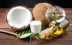 Virgin coconut oil plant