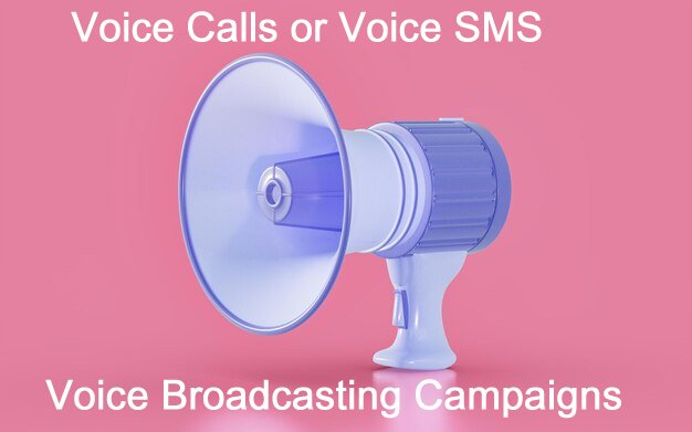 Voice Calls