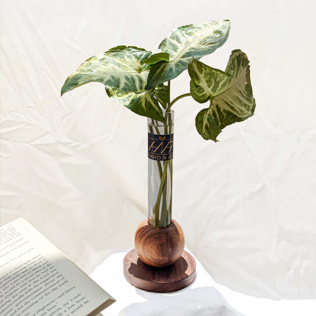 Wooden Ball Planter