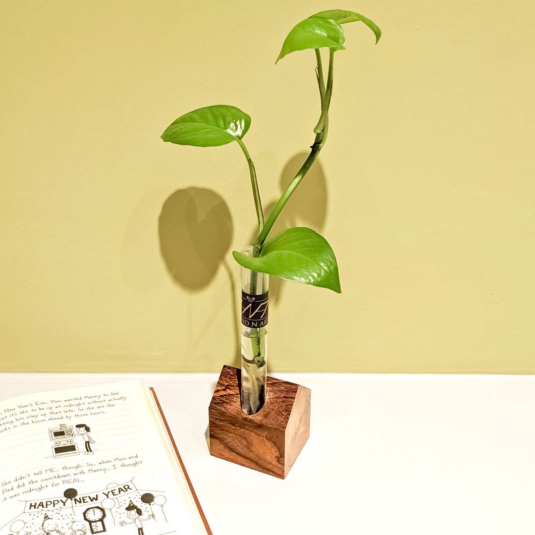 Wooden Hut Planter