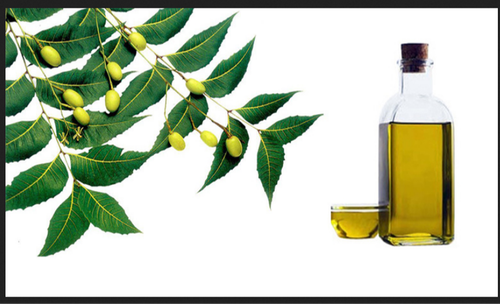 Neem Oil
