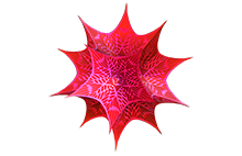 Wolfram Mathematica