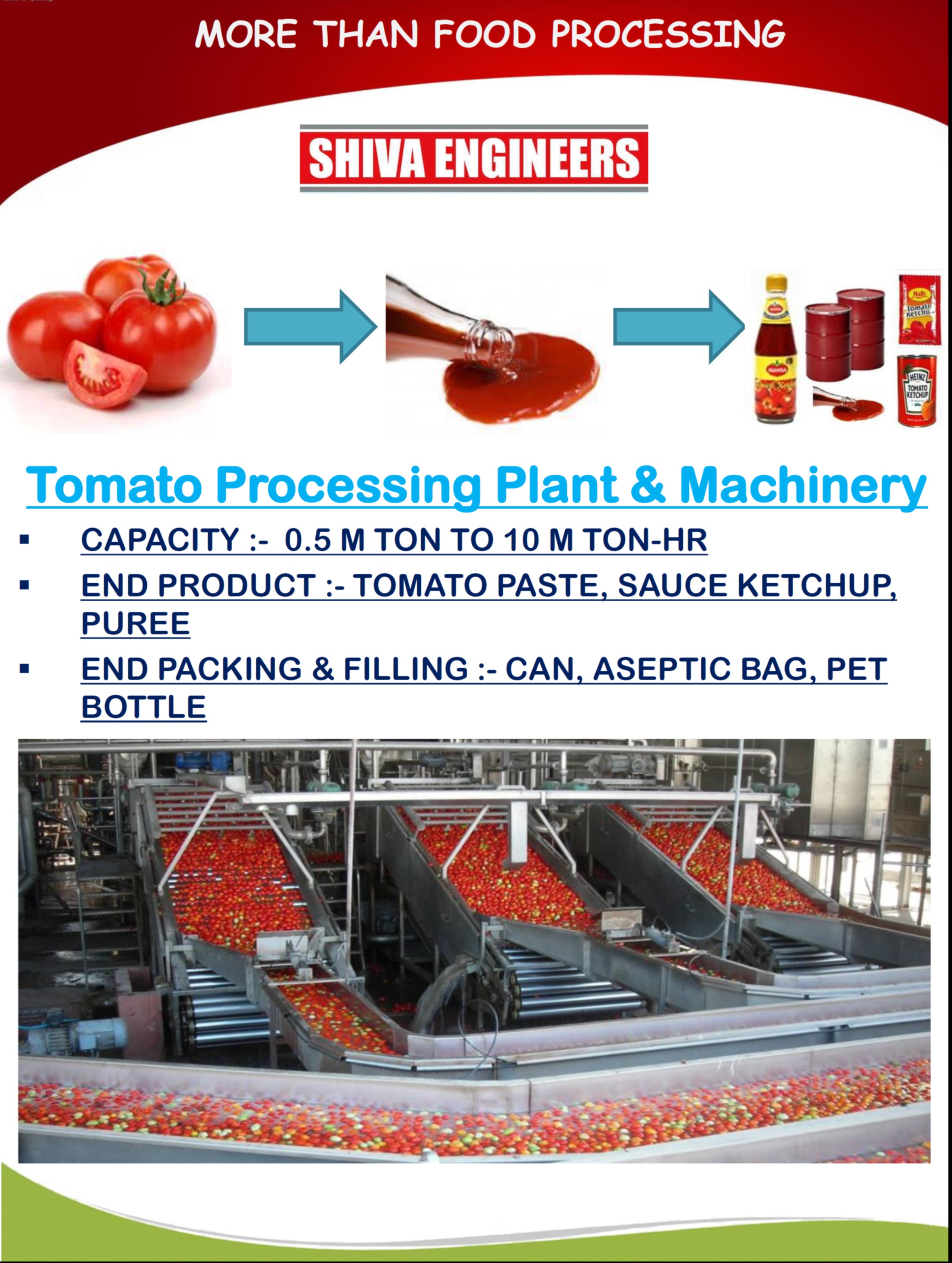 TOMATO PROCESSING PLANT & MACHINERY 