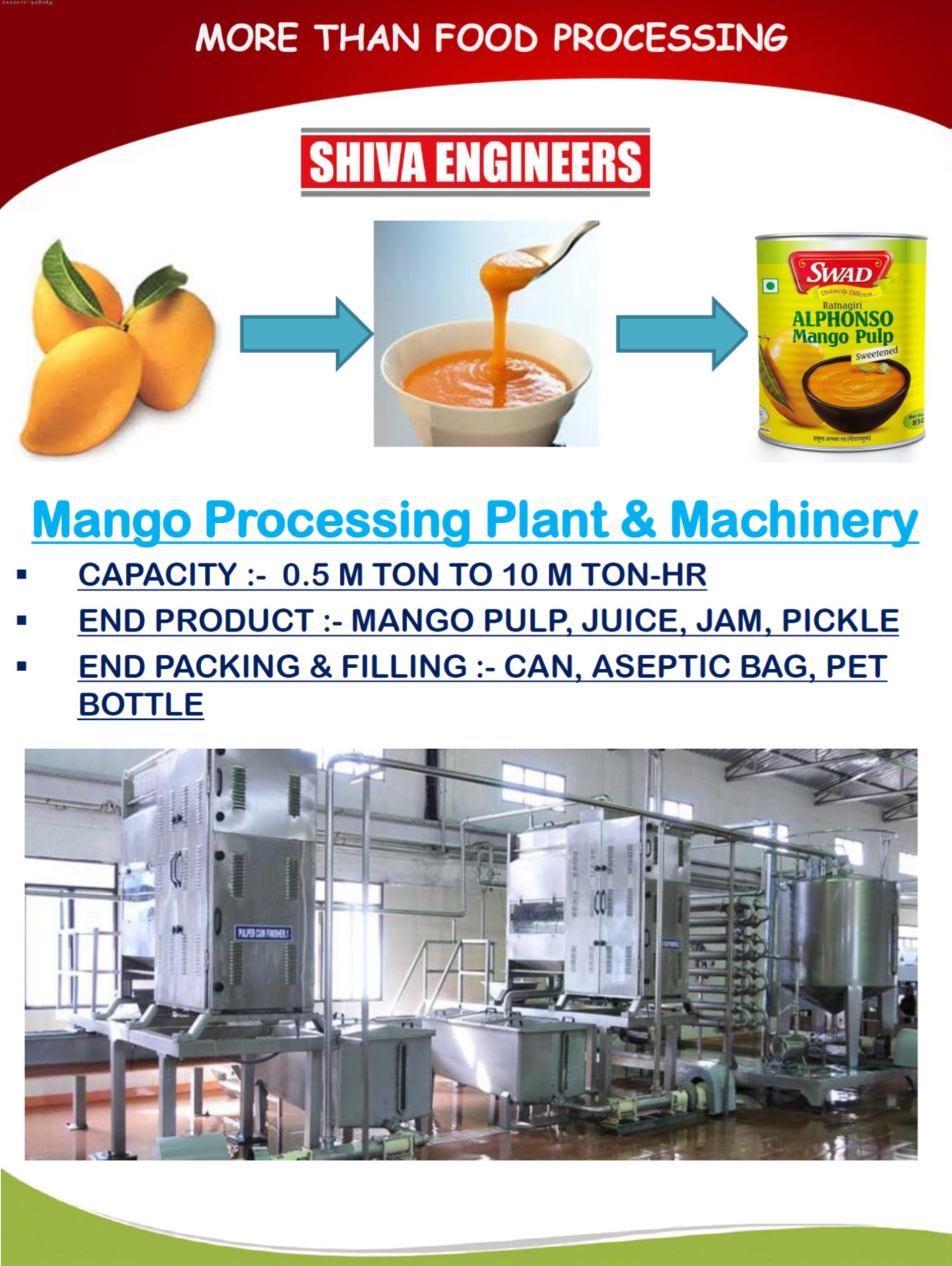 MANGO PROCESSING PLANT & MACHINERY