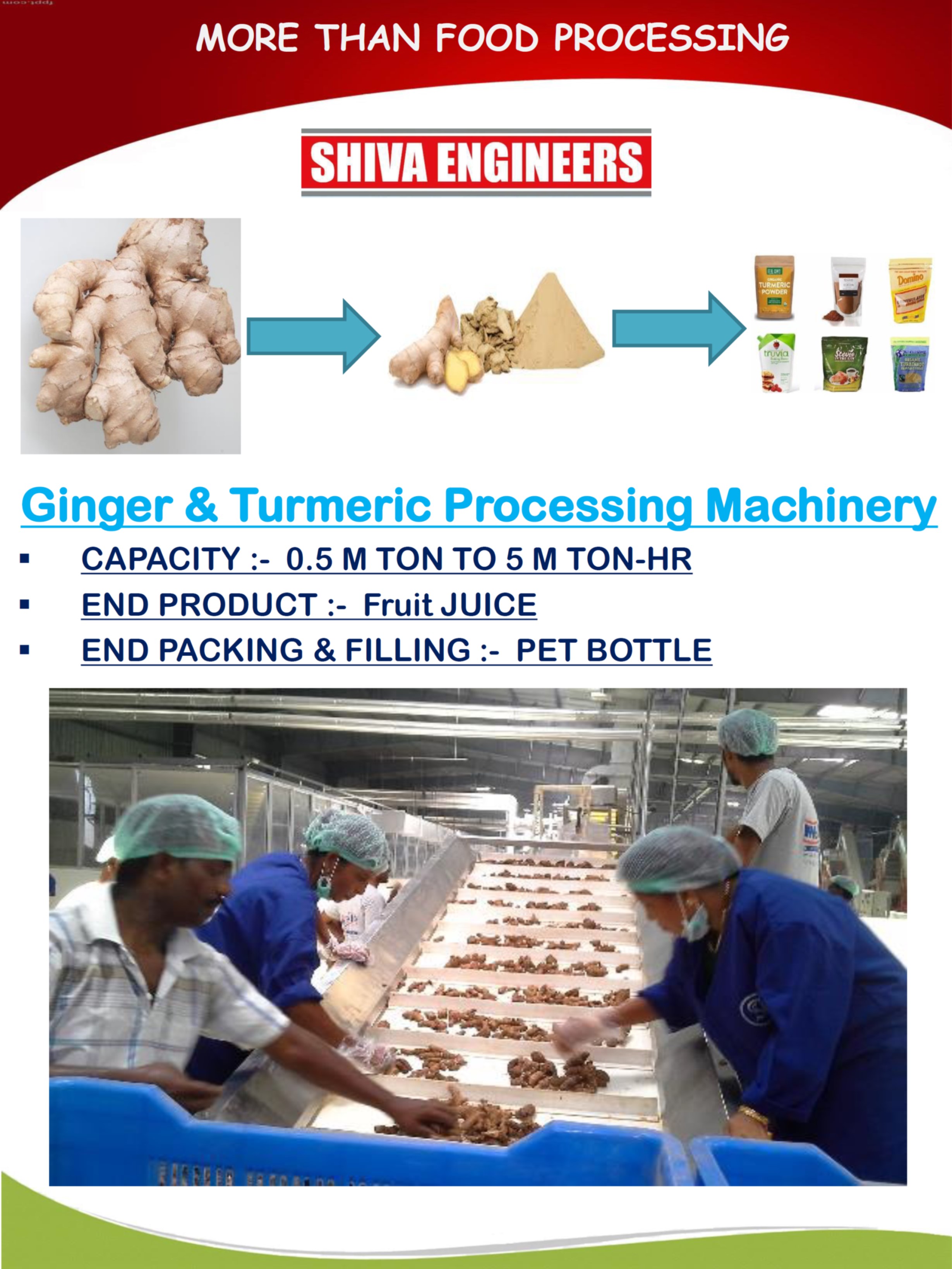 GINGER PROCESSING PLANT & MACHINERY