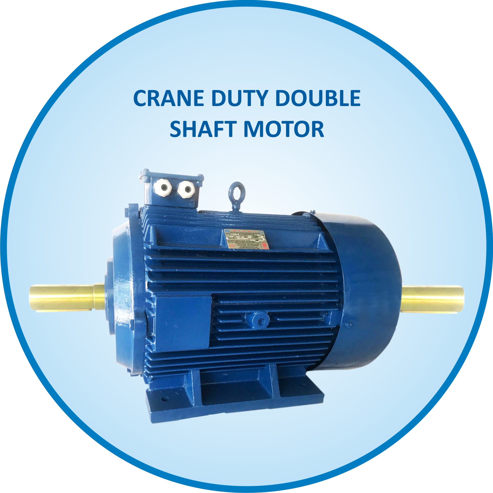 Crane Duty Double Shaft Motor