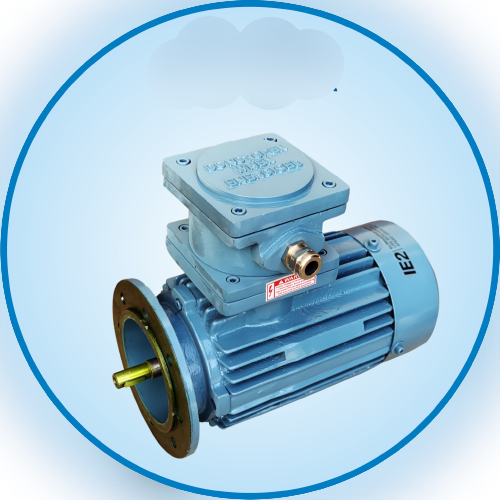 FLP Motor 