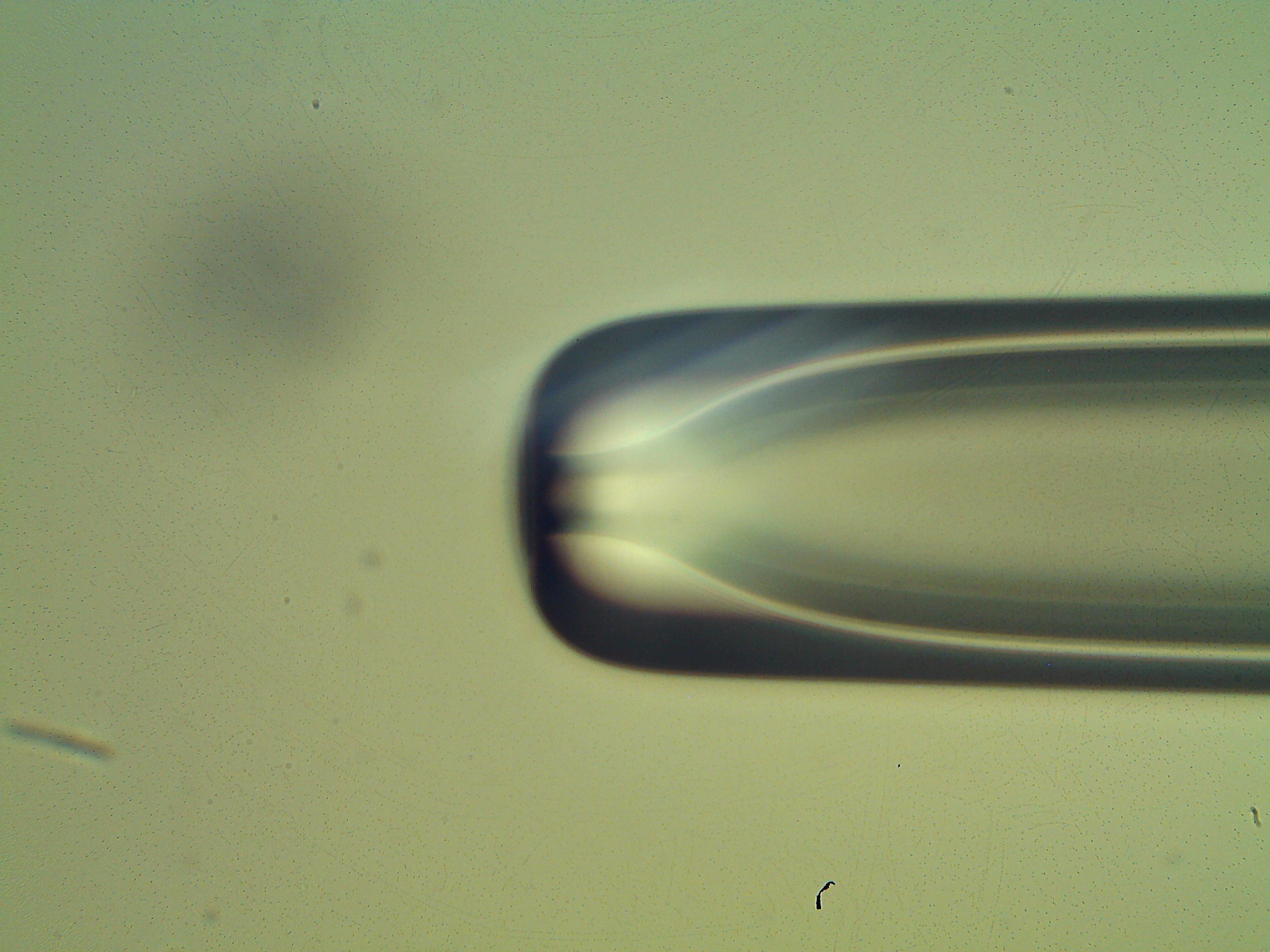 MONASH BIOTECH