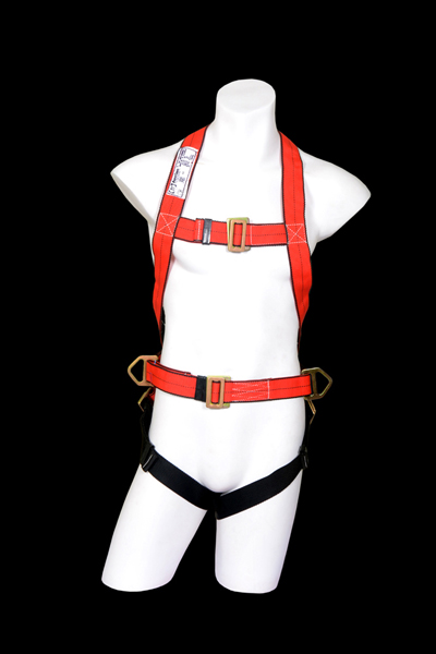 Full Body Harness (Class P)