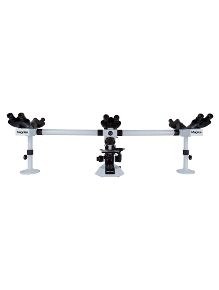 MULTI-HEAD TEACHING MICROSCOPE