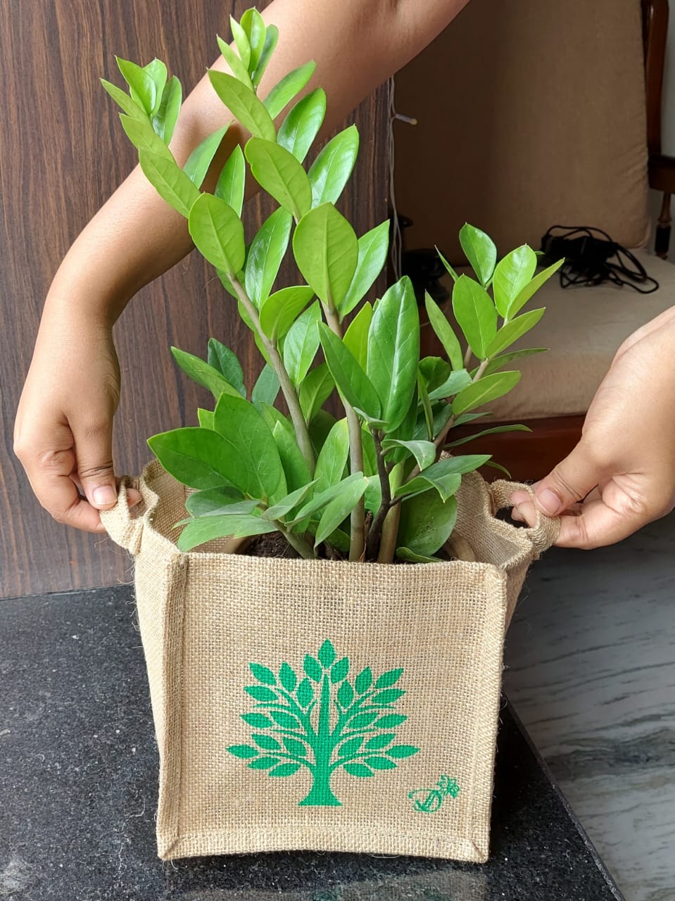 Plant Grow bags
