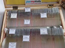 MICRO PREPARED SLIDES