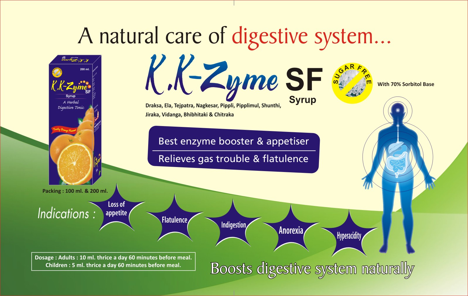 K K Zyme SF Syrup