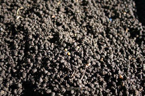 VERMICOMPOST