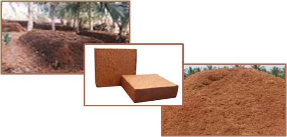 COIR PITH MANURE