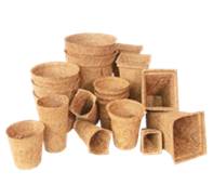 COIR POT