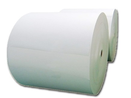 PE Coated Paper