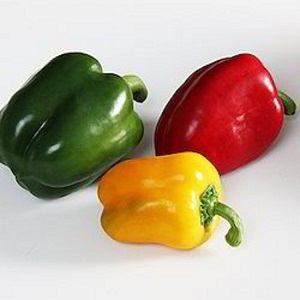 Capsicum 10% o/s Oleoresin