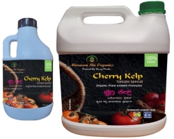 CHERRY KELP