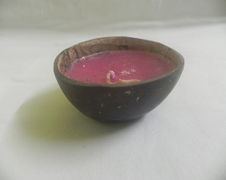 Jayviq Coconut Shell Eco-Friendly Candle Diyas