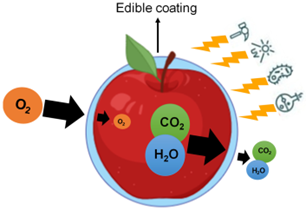 Edible Coatings For Fruits
