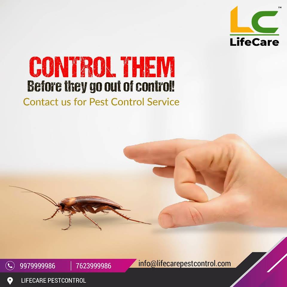 General Pest Control Service 