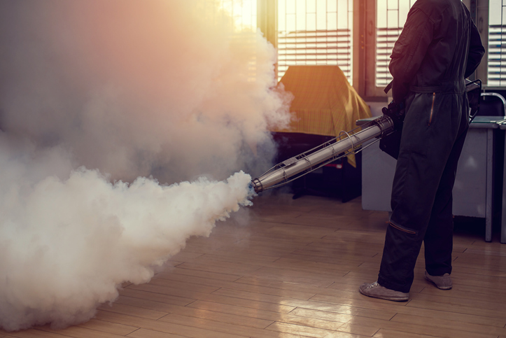 Fogging Service
