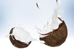 coconut milk 