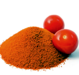 Vacuum Dehydrated Tomato Powder