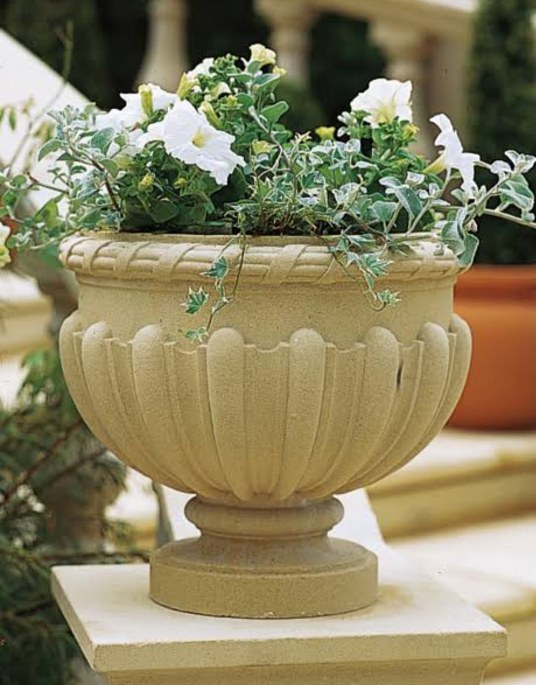 Royal Flower Planter