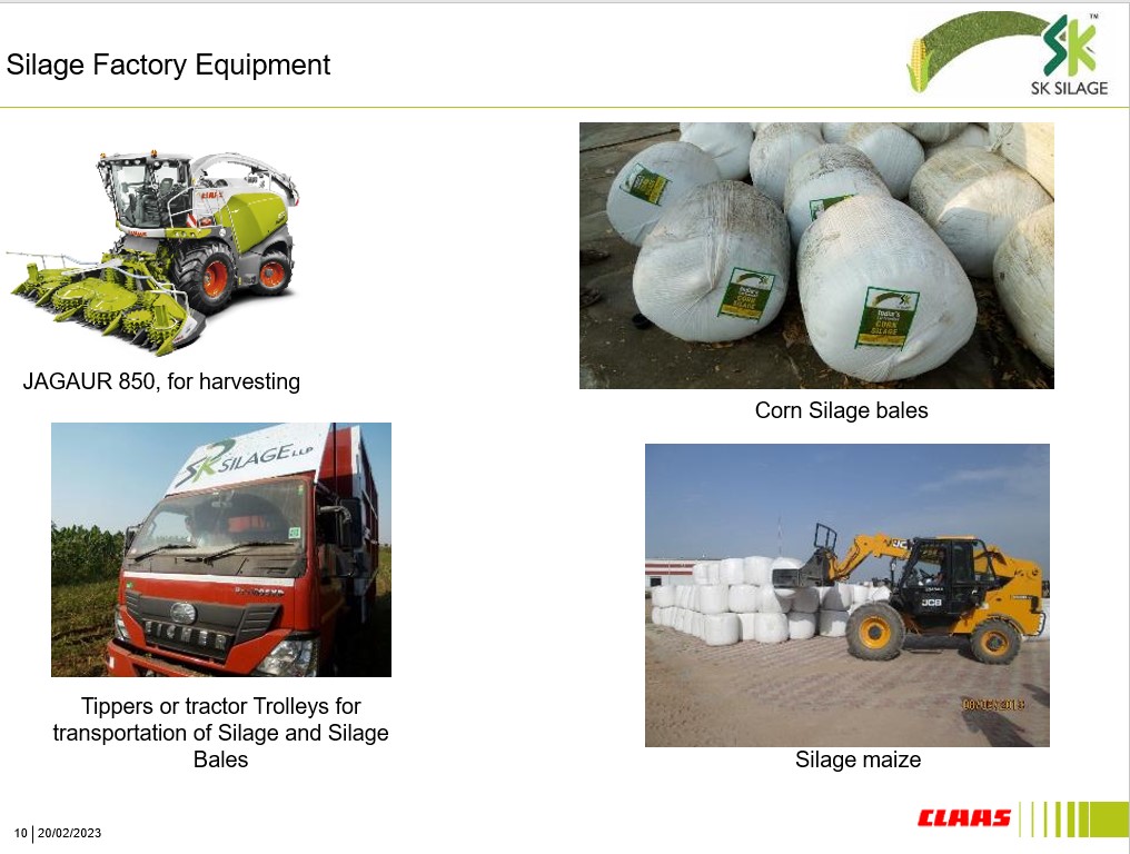 CORN SILAGE