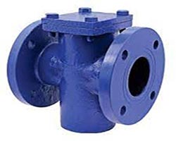 T Type Strainer Valve