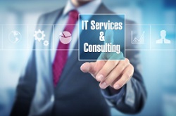 IT  ERP Consultant