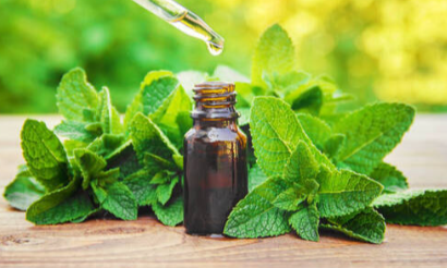 Spearmint Oil