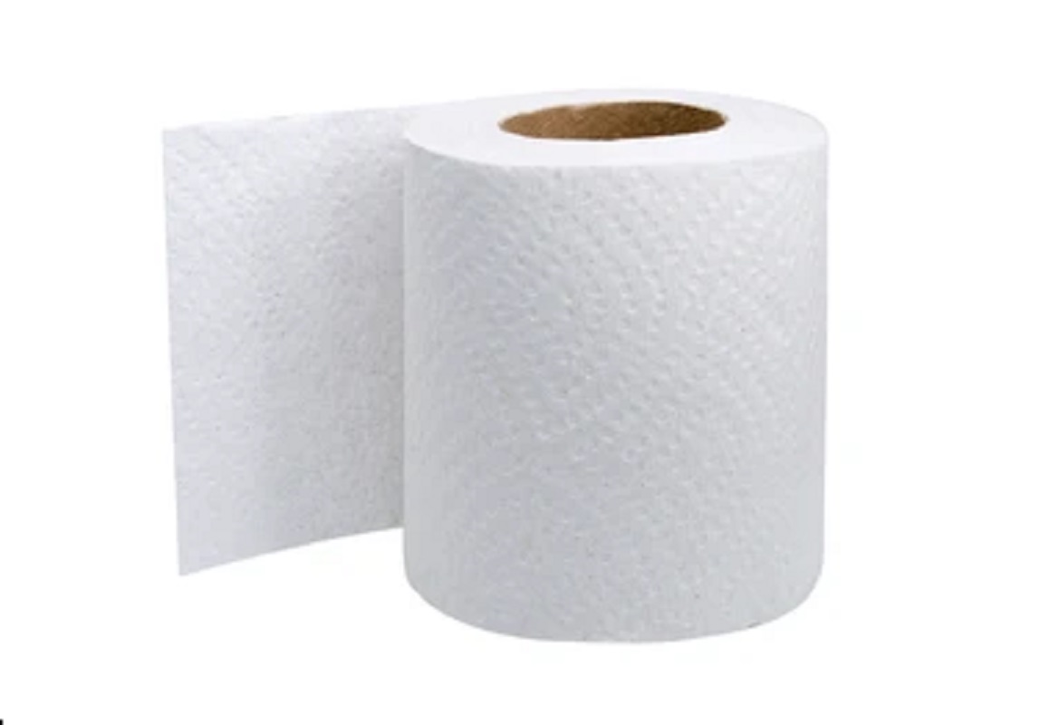 Premium highly absorbent soft Toilet Paper/ Roll Bathroom Tissue size 10cm x 10cm 2ply (160 pulls) weight 100gm per roll