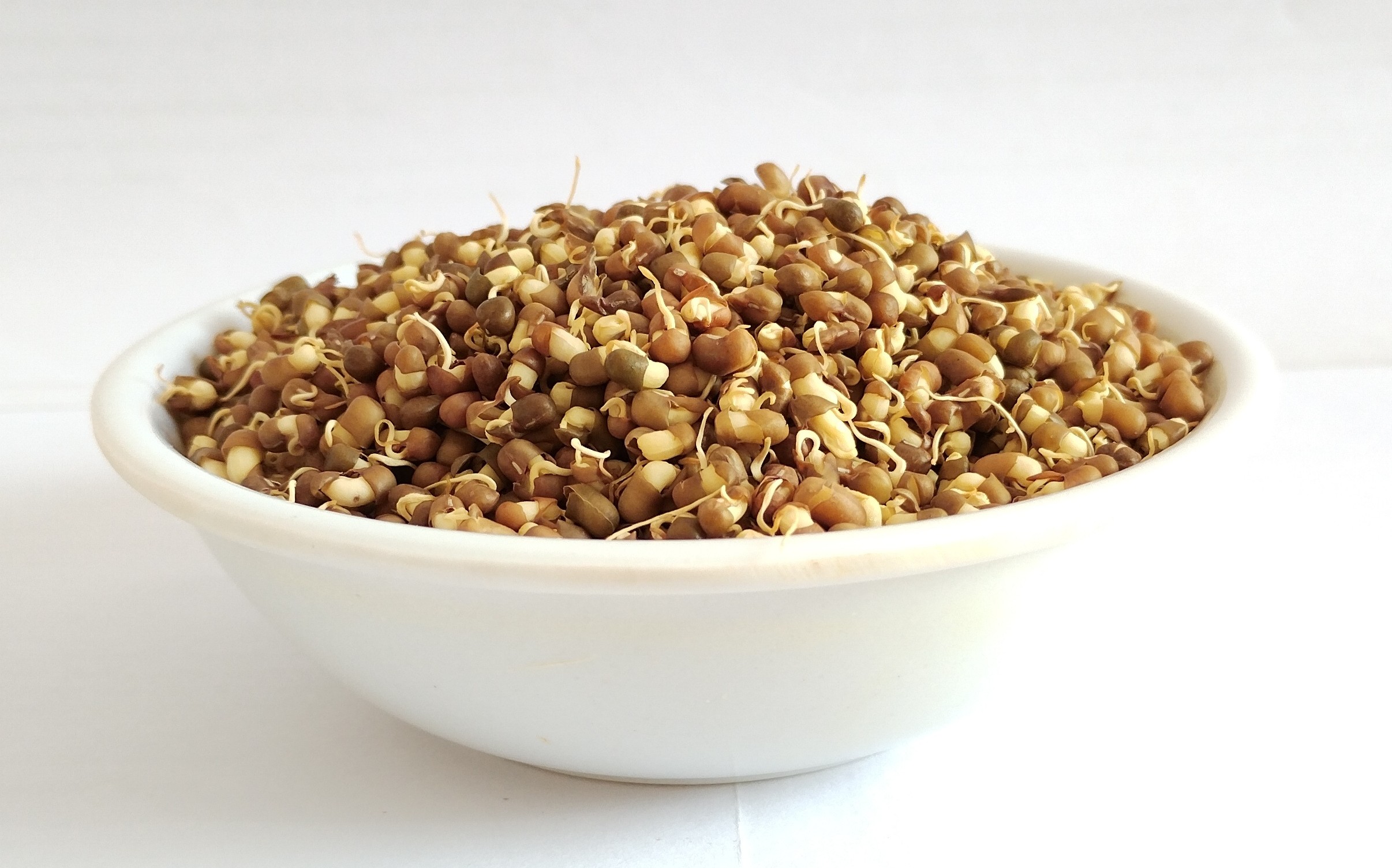 Dehydrated Sprouted Moth Bean/Matki