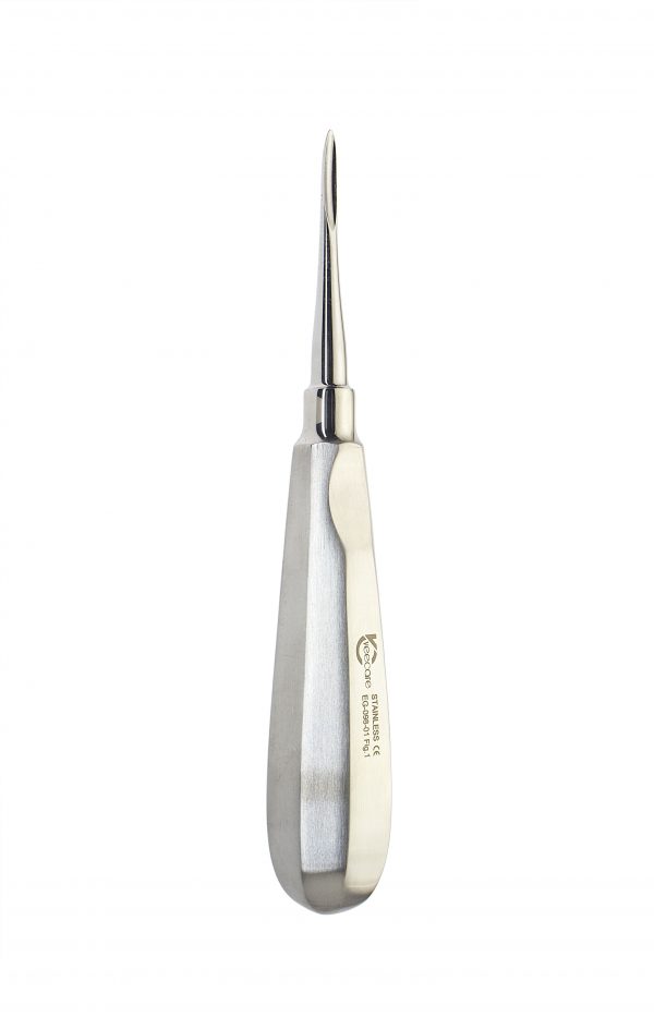 Dental Straight Elevator