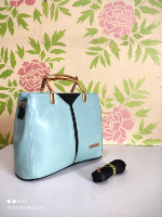 ladies handbags 