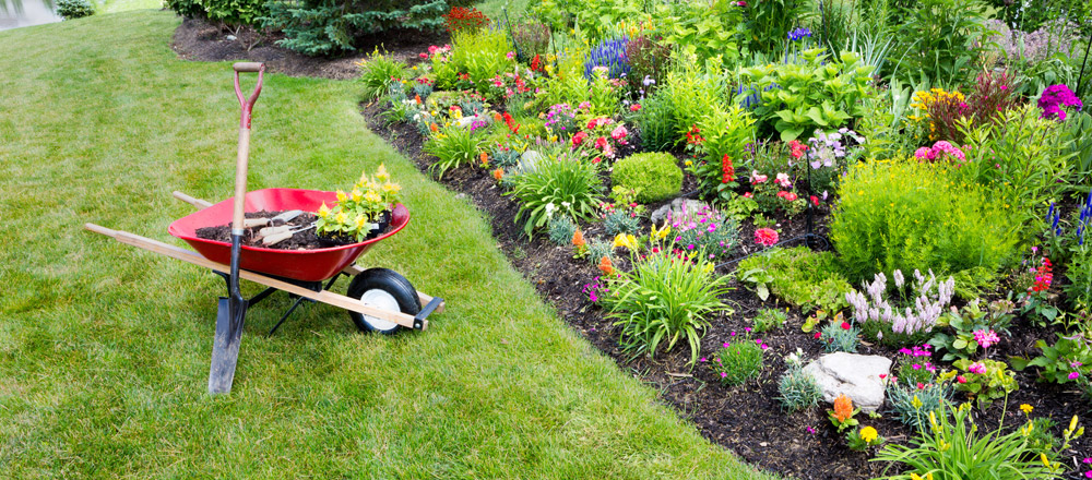 Garden Maintenance 